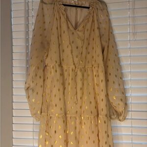 Sheer Gold Polka Dot Dress